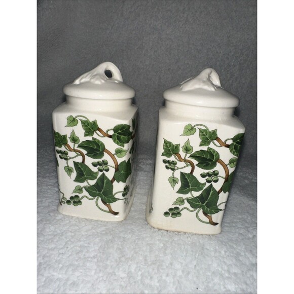 Ivy Ceramic Salt And Pepper Shaker Set Made In Japan - Picture 4 of 8